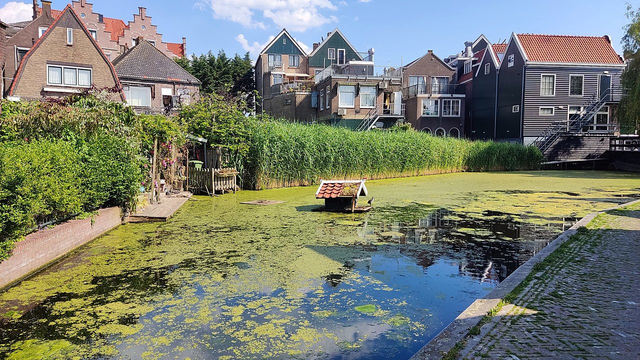 Натиснете снимката за да я уголемите

Име:IMG_20230611_165404.jpg
Прегледи:322
Размер:816.9 КБ
ID:6946250