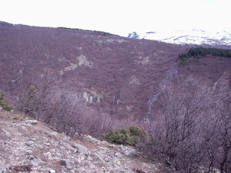 Натиснете снимката за да я уголемите

Име:4452991q.jpg
Прегледи:1
Размер:107.7 КБ
ID:5351061