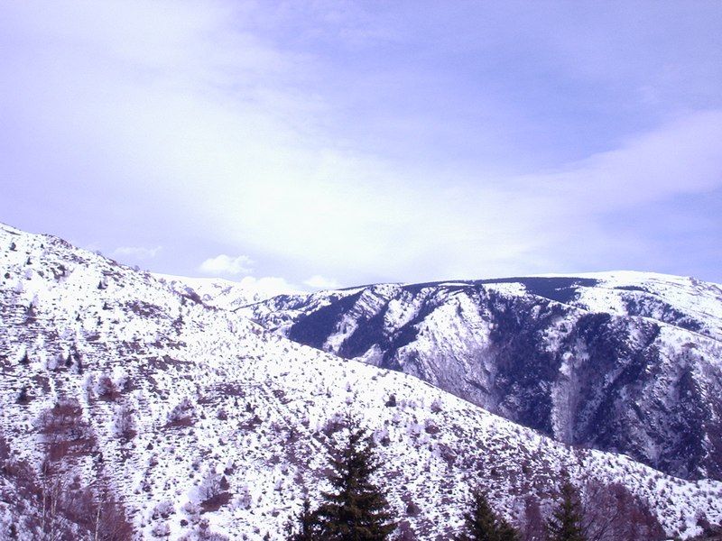 Натиснете снимката за да я уголемите

Име:4453011L.jpg
Прегледи:1
Размер:116.0 КБ
ID:5351014