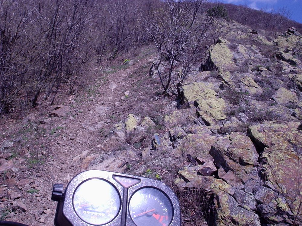 Натиснете снимката за да я уголемите

Име:Picture 611.jpg
Прегледи:1
Размер:245.9 КБ
ID:5362639