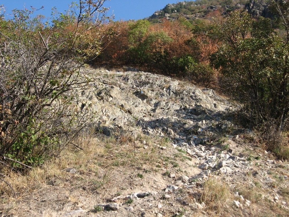 Натиснете снимката за да я уголемите

Име:5352936H.jpg
Прегледи:1
Размер:300.6 КБ
ID:5415382