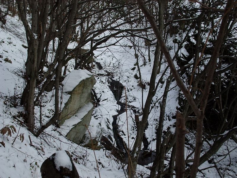 Натиснете снимката за да я уголемите

Име:4298288H.jpg
Прегледи:1
Размер:146.1 КБ
ID:5338720