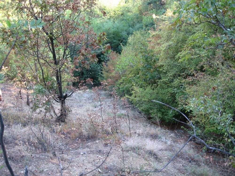 Натиснете снимката за да я уголемите

Име:5341587X.jpg
Прегледи:1
Размер:259.1 КБ
ID:5414810