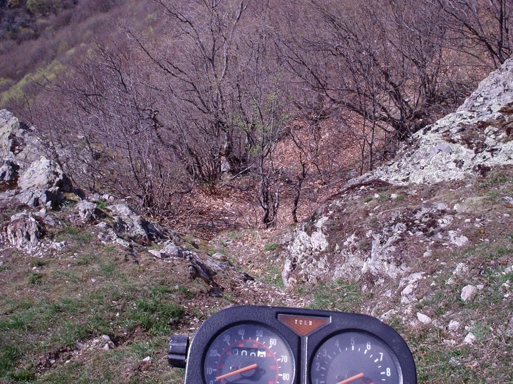 Натиснете снимката за да я уголемите

Име:Picture 607.jpg
Прегледи:1
Размер:260.4 КБ
ID:5362778