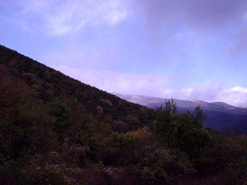Натиснете снимката за да я уголемите

Име:3935891g.jpg
Прегледи:1
Размер:55.5 КБ
ID:5311746