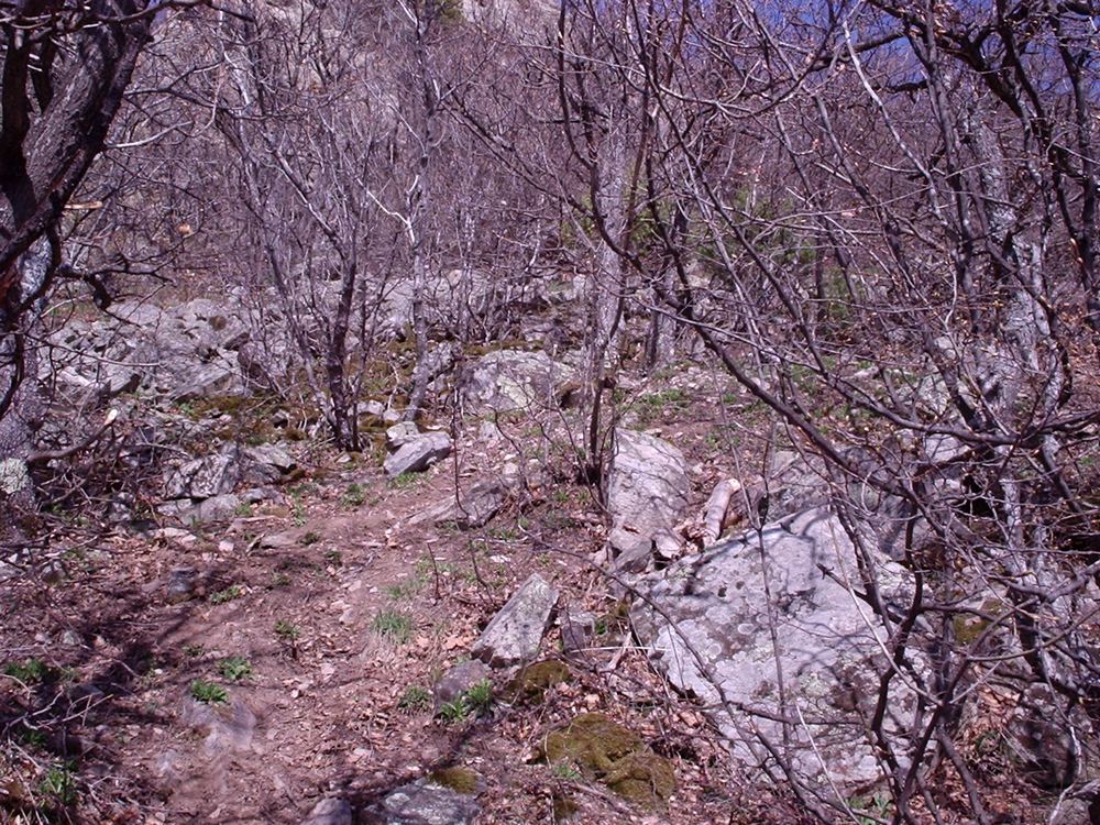 Натиснете снимката за да я уголемите

Име:Picture 625.jpg
Прегледи:1
Размер:275.4 КБ
ID:5362775