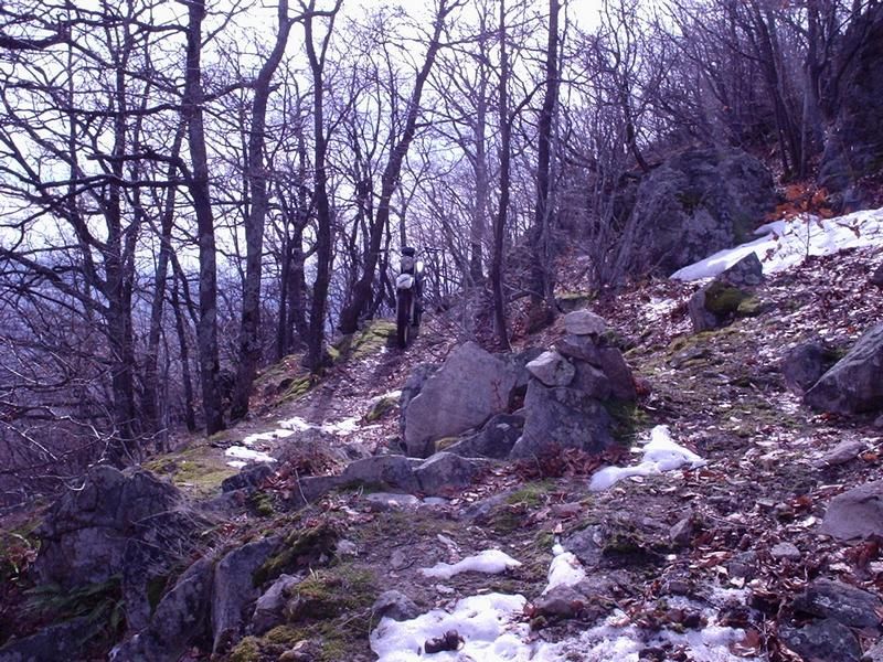 Натиснете снимката за да я уголемите

Име:4452995y.jpg
Прегледи:1
Размер:163.0 КБ
ID:5351040