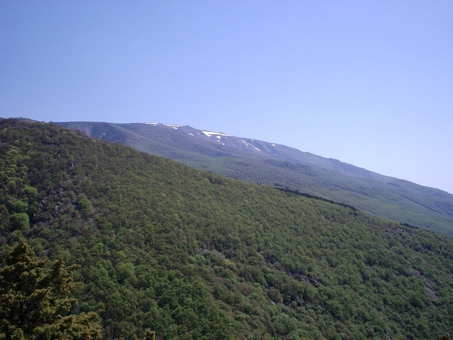 Натиснете снимката за да я уголемите

Име:4706963J.jpg
Прегледи:1
Размер:91.3 КБ
ID:5370183