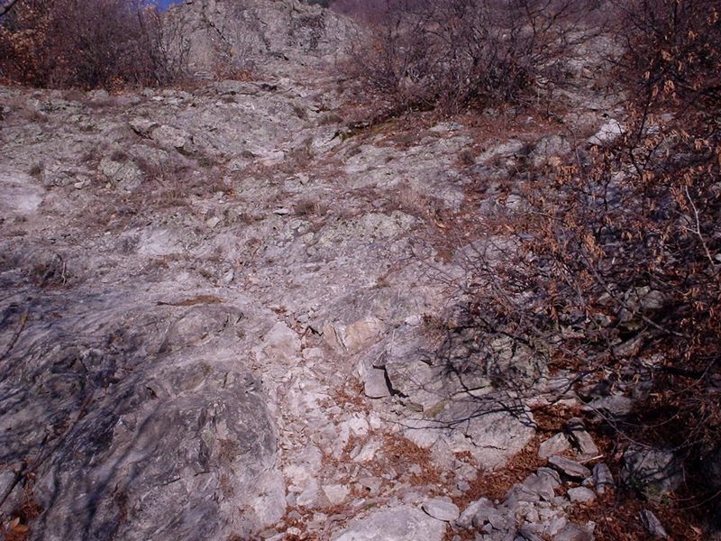 Натиснете снимката за да я уголемите

Име:4116057x.jpg
Прегледи:1
Размер:149.1 КБ
ID:5325443
