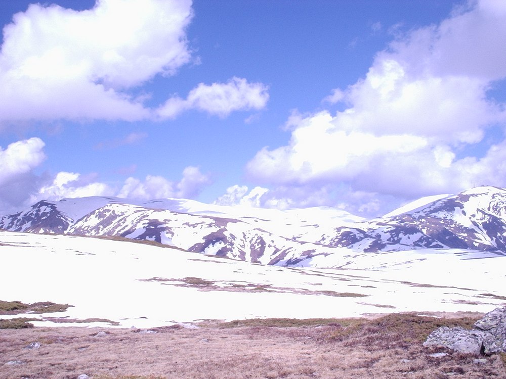 Натиснете снимката за да я уголемите

Име:Picture 632.jpg
Прегледи:1
Размер:147.2 КБ
ID:5362768