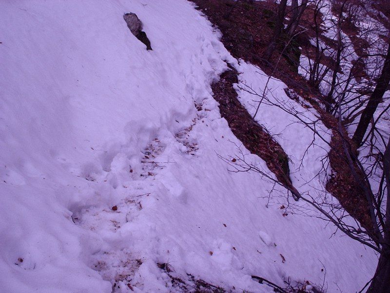 Натиснете снимката за да я уголемите

Име:4453085C.jpg
Прегледи:1
Размер:96.5 КБ
ID:5351038