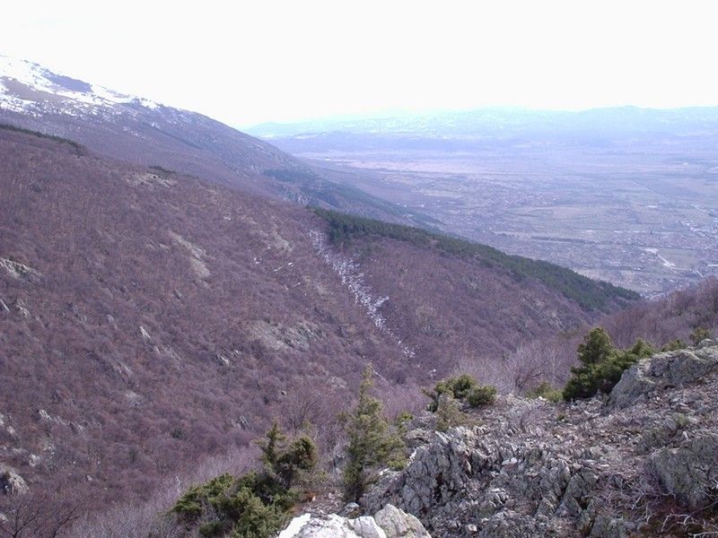 Натиснете снимката за да я уголемите

Име:4453029B.jpg
Прегледи:1
Размер:93.7 КБ
ID:5351054