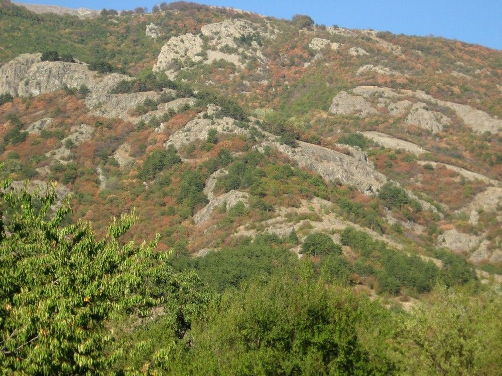Натиснете снимката за да я уголемите

Име:5341517G.jpg
Прегледи:1
Размер:192.0 КБ
ID:5414791