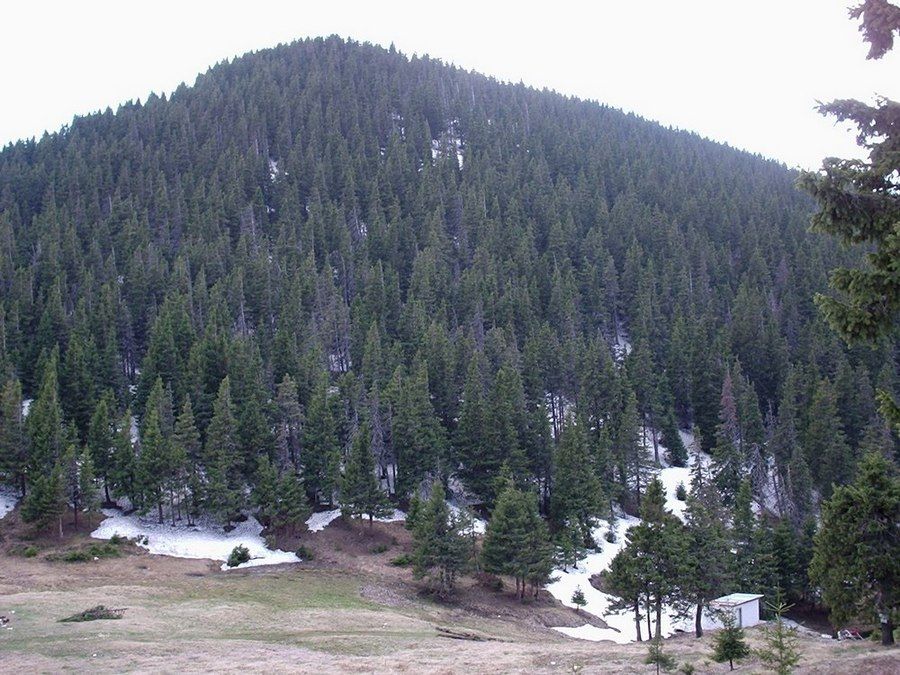 Натиснете снимката за да я уголемите

Име:4707918W.jpg
Прегледи:1
Размер:150.4 КБ
ID:5370242