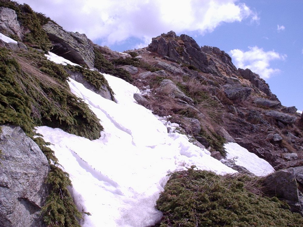 Натиснете снимката за да я уголемите

Име:Picture 621.jpg
Прегледи:1
Размер:186.4 КБ
ID:5362694