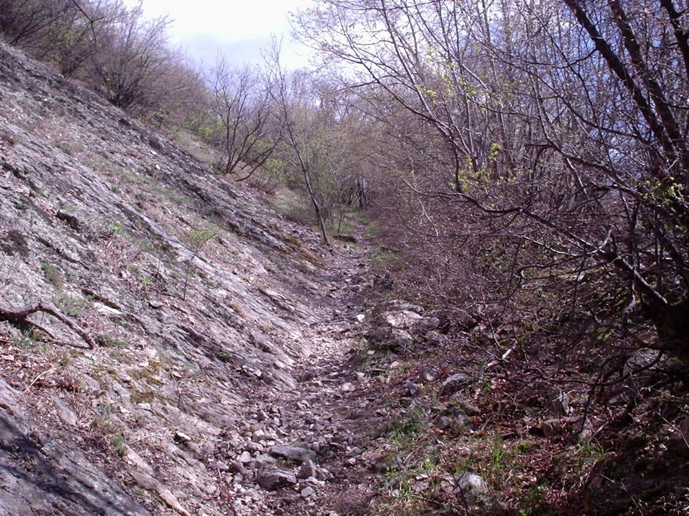 Натиснете снимката за да я уголемите

Име:Picture 606.jpg
Прегледи:1
Размер:258.9 КБ
ID:5362697