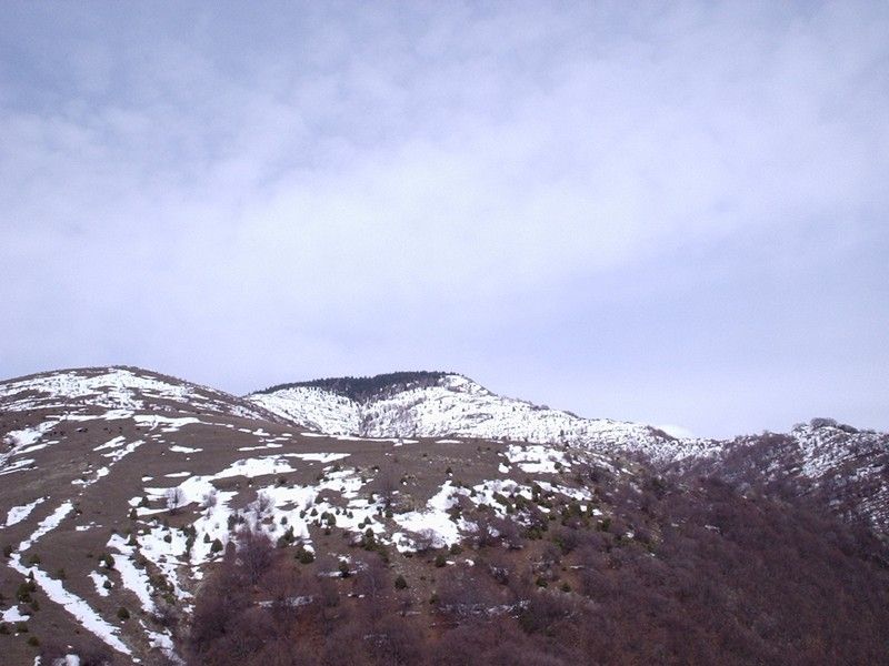 Натиснете снимката за да я уголемите

Име:4453002r.jpg
Прегледи:1
Размер:74.7 КБ
ID:5350994