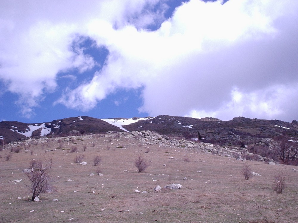 Натиснете снимката за да я уголемите

Име:Picture 614.jpg
Прегледи:1
Размер:170.5 КБ
ID:5362686