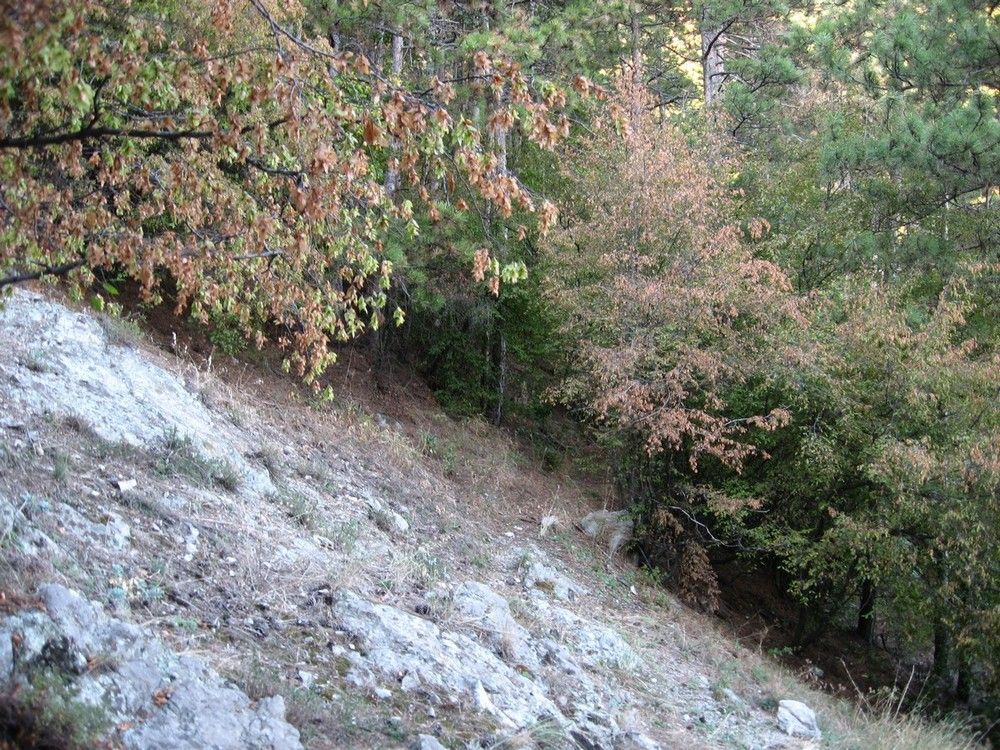 Натиснете снимката за да я уголемите

Име:5341667t.jpg
Прегледи:1
Размер:265.0 КБ
ID:5414813