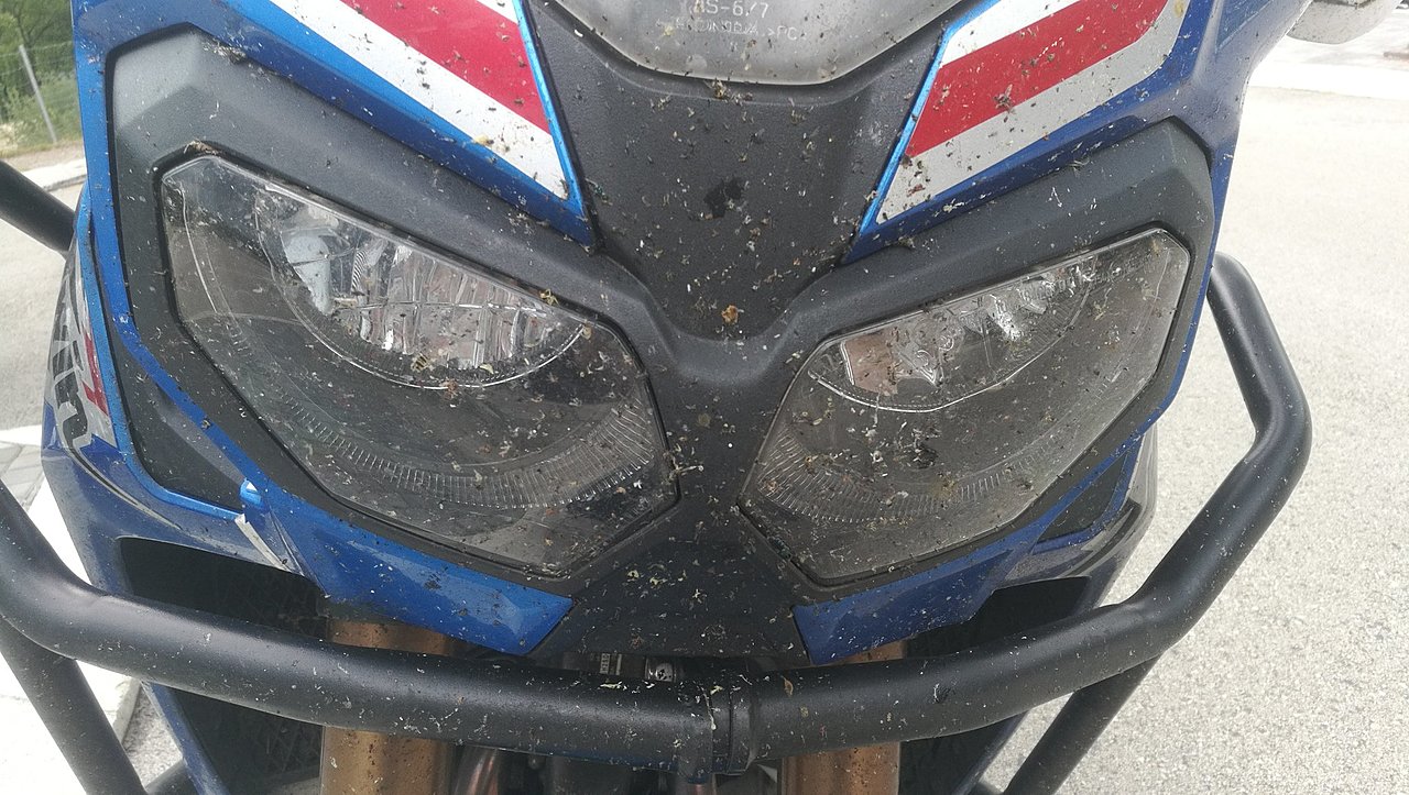 Натиснете снимката за да я уголемите

Име:IMG_20230614_145447.jpg
Прегледи:306
Размер:435.3 КБ
ID:6946331