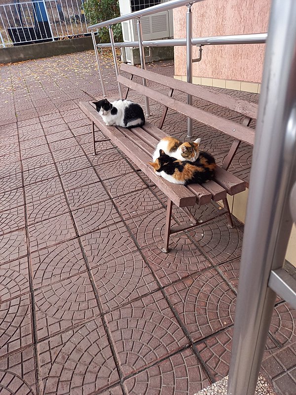 Натиснете снимката за да я уголемите

Име:20231212_084437.jpg
Прегледи:190
Размер:814.4 КБ
ID:6947180