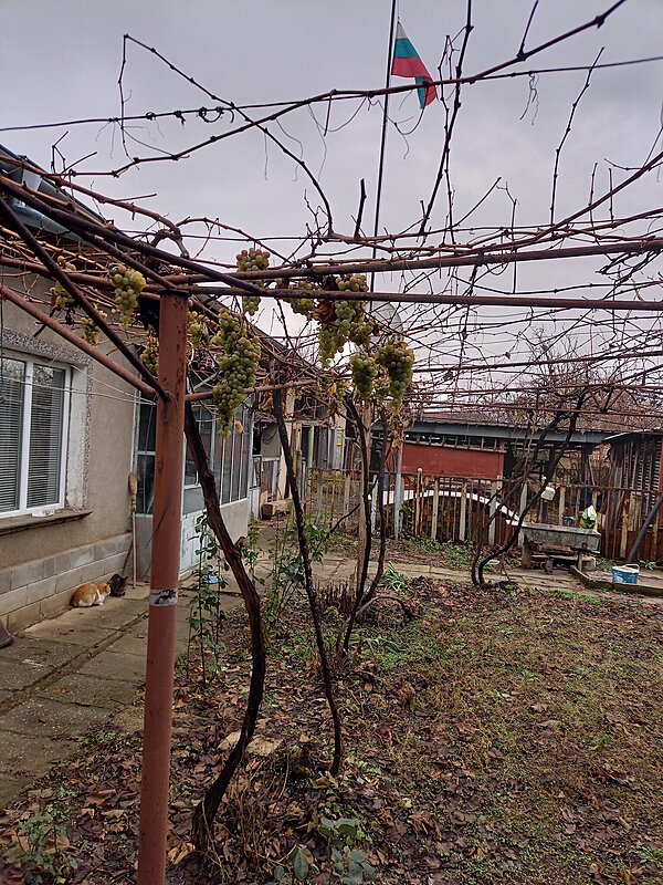 Натиснете снимката за да я уголемите

Име:20231216_144151.jpg
Прегледи:245
Размер:904.5 КБ
ID:6947781