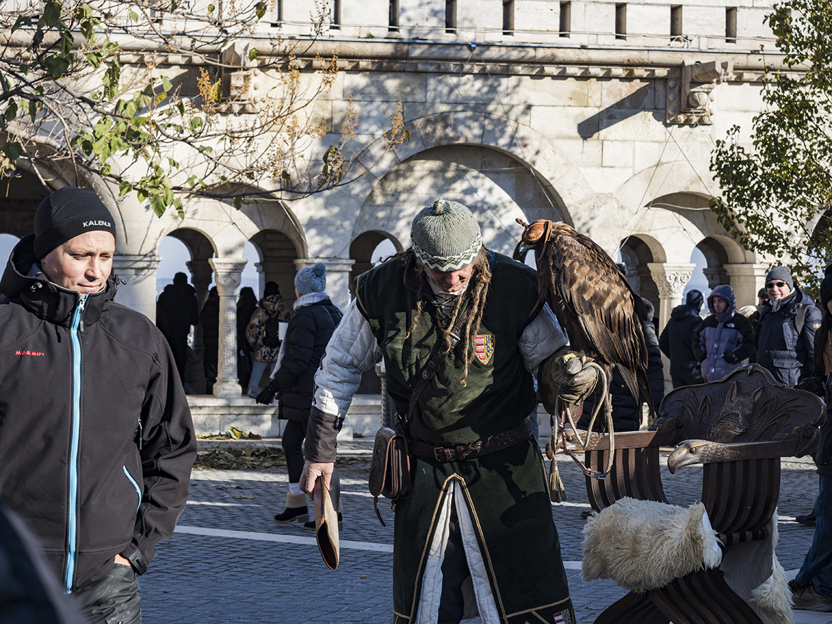 Натиснете снимката за да я уголемите  Име:PC030177-Enhanced-NR.jpg Прегледи:0 Размер:1.09 МБ ID:6948936