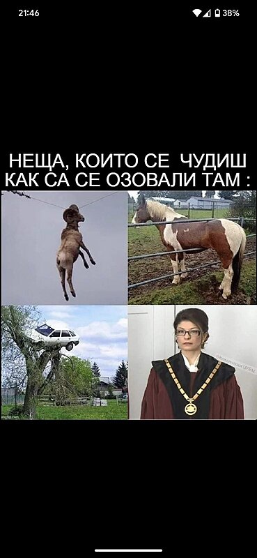 Натиснете снимката за да я уголемите

Име:IMG-f924c1c96c69b7853e9052b09b871e8d-V.jpg
Прегледи:769
Размер:120.9 КБ
ID:6953144