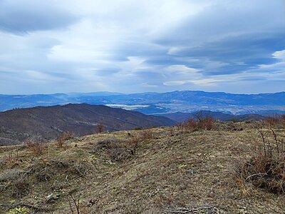 Натиснете снимката за да я уголемите

Име:IMG_20240210_131313.jpg
Прегледи:231
Размер:701.2 КБ
ID:6954930