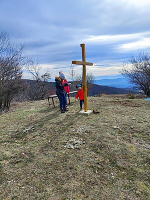 Натиснете снимката за да я уголемите

Име:IMG_20240210_131809.jpg
Прегледи:231
Размер:1.04 МБ
ID:6954939