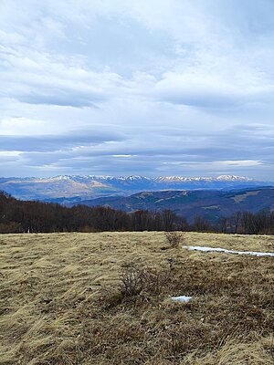 Натиснете снимката за да я уголемите

Име:IMG_20240210_152537.jpg
Прегледи:227
Размер:730.4 КБ
ID:6954946