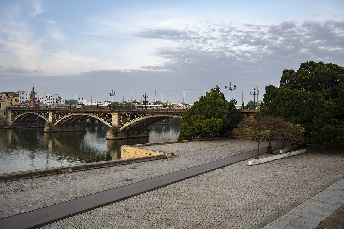 Натиснете снимката за да я уголемите  Име:DSC_0708-Enhanced-NR.jpg Прегледи:0 Размер:826.0 КБ ID:6955446