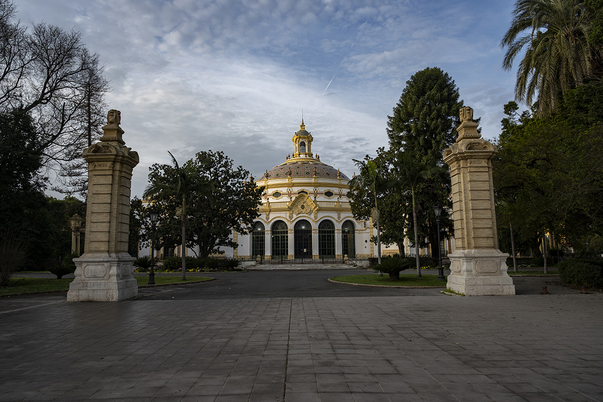 Натиснете снимката за да я уголемите  Име:DSC_0732-Enhanced-NR.jpg Прегледи:0 Размер:864.3 КБ ID:6955456