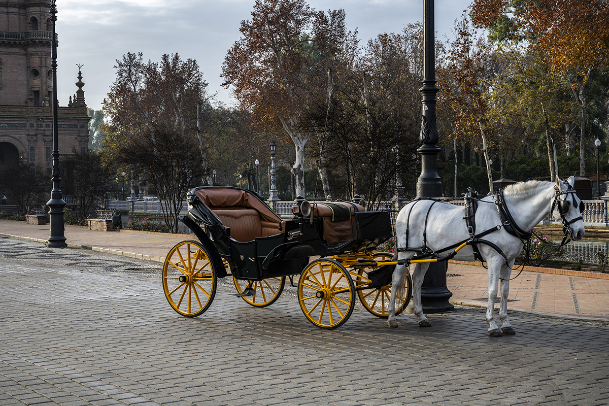 Натиснете снимката за да я уголемите  Име:DSC_0744-Enhanced-NR.jpg Прегледи:0 Размер:1.17 МБ ID:6955458