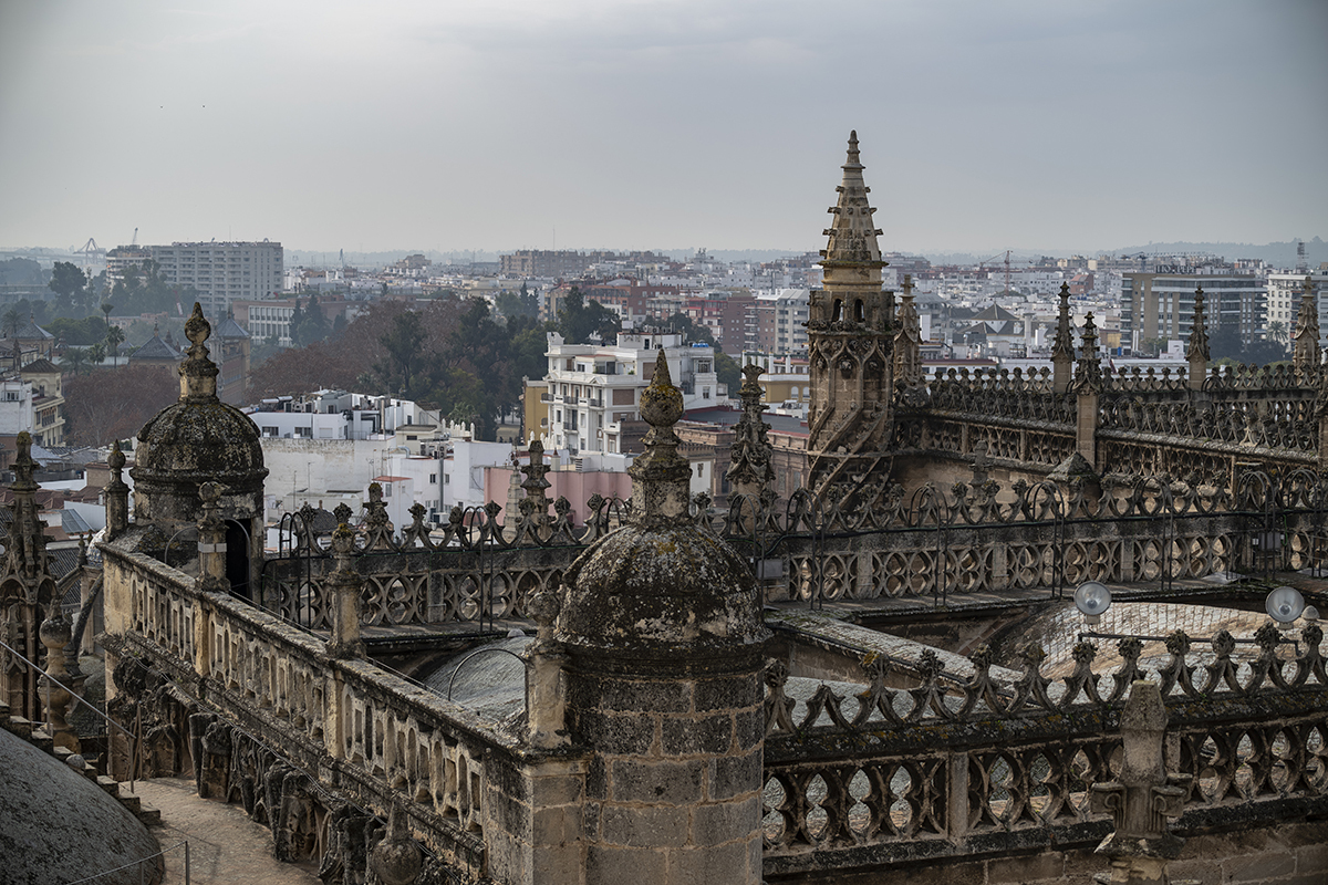 Натиснете снимката за да я уголемите  Име:DSC_0834-Enhanced-NR.jpg Прегледи:0 Размер:887.0 КБ ID:6955597
