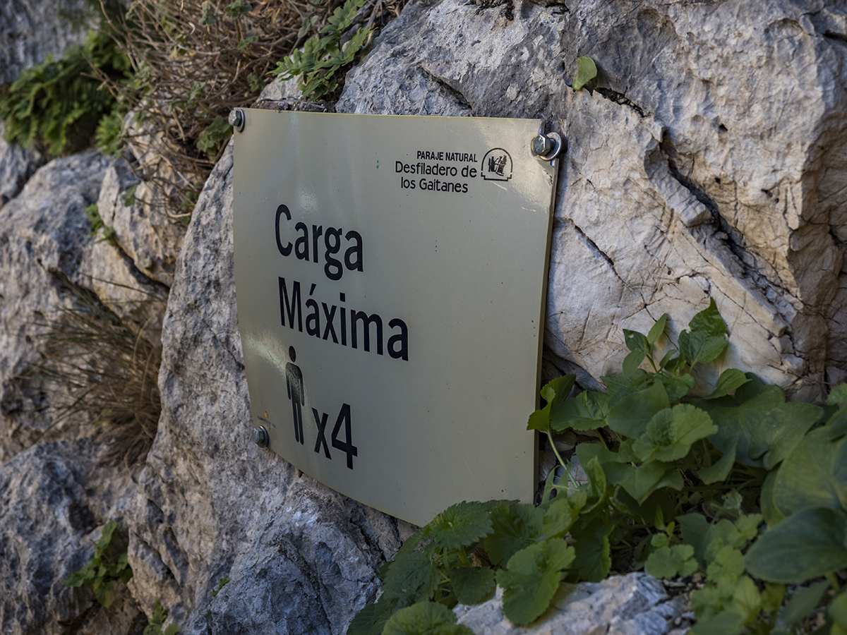 Натиснете снимката за да я уголемите  Име:P1200071-Enhanced-NR.jpg Прегледи:0 Размер:838.5 КБ ID:6955963