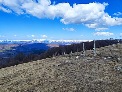 Натиснете снимката за да я уголемите

Име:IMG_20240217_124848.jpg
Прегледи:386
Размер:815.5 КБ
ID:6956325