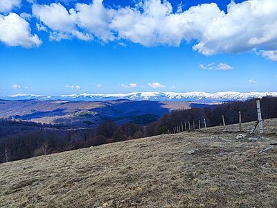 Натиснете снимката за да я уголемите

Име:IMG_20240217_124850.jpg
Прегледи:367
Размер:737.8 КБ
ID:6956326