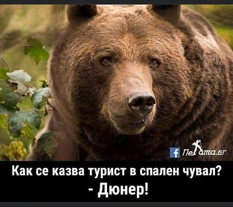 Натиснете снимката за да я уголемите

Име:IMG-8bec95ca8152fa51b55a6e8dae530e68-V.jpg
Прегледи:787
Размер:477.7 КБ
ID:6957976