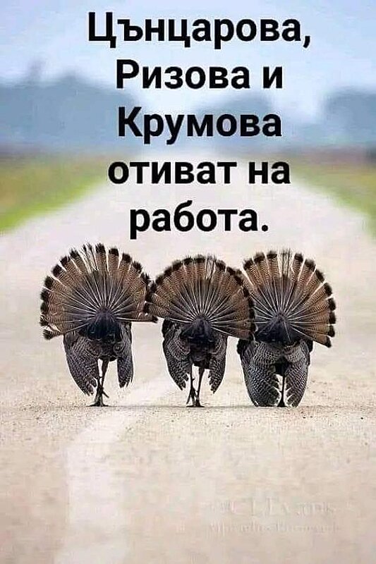 Натиснете снимката за да я уголемите  Име:IMG-27cad1eb5c8d9cd455976179a136daf9-V.jpg Прегледи:0 Размер:61.6 КБ ID:6984197