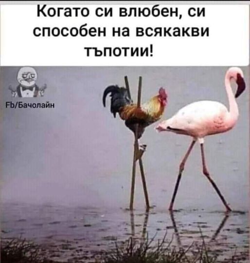 Натиснете снимката за да я уголемите

Име:434390410_472105338476326_7502481601372928978_n.jpg
Прегледи:843
Размер:37.0 КБ
ID:6962182