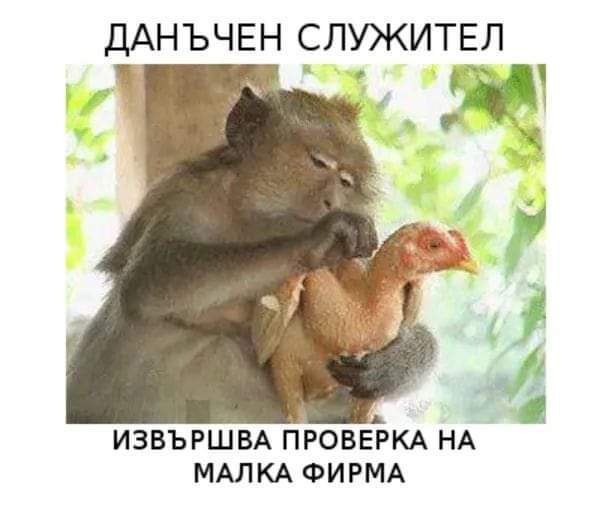 Натиснете снимката за да я уголемите

Име:IMG-39ee1f82733713e9f7fddd602cc9956f-V.jpg
Прегледи:568
Размер:29.1 КБ
ID:6962733