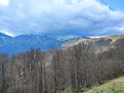 Натиснете снимката за да я уголемите

Име:IMG_20240413_143609.jpg
Прегледи:374
Размер:820.9 КБ
ID:6962765