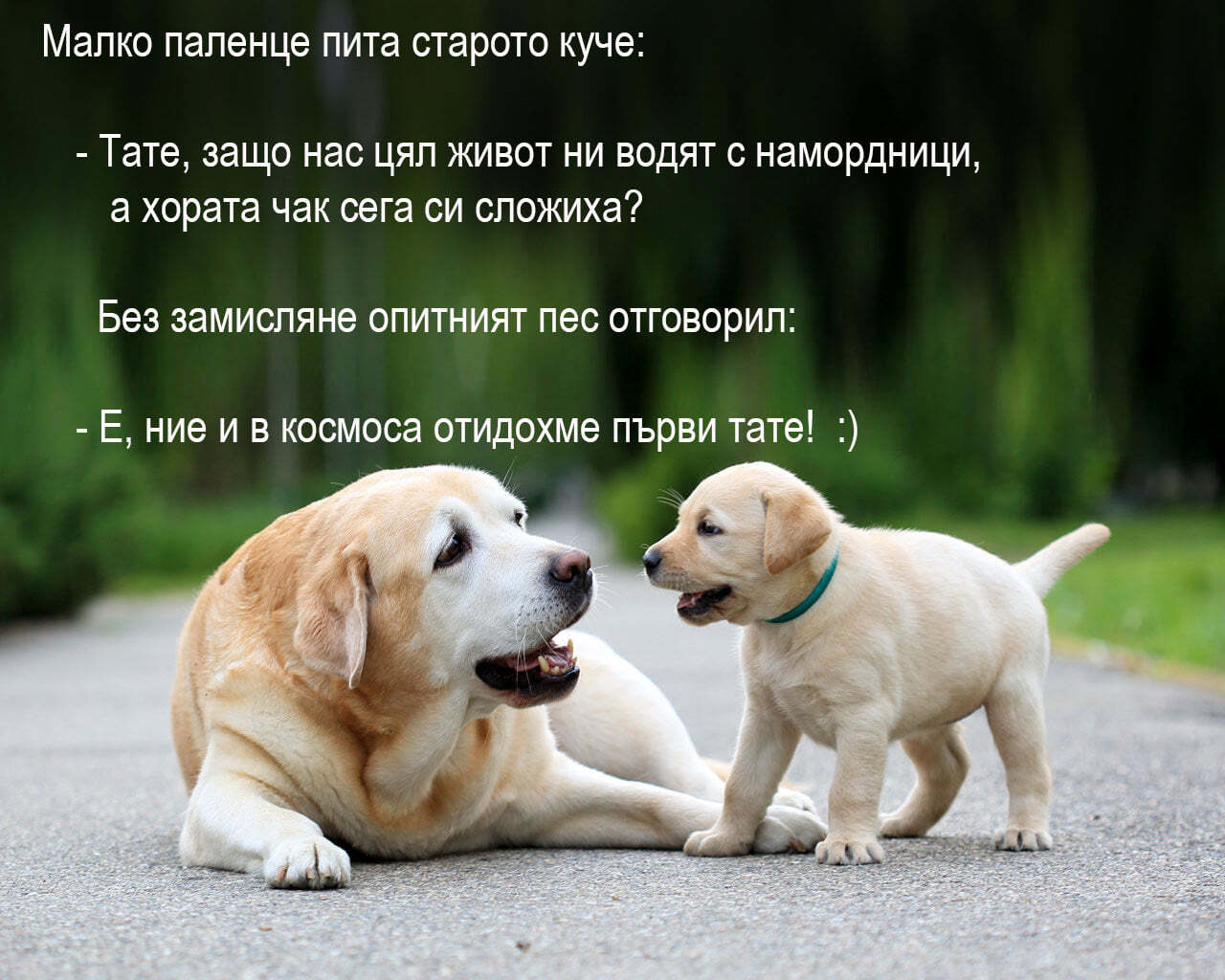 Натиснете снимката за да я уголемите

Име:164034729_4175389332473891_3169204788263752078_n.jpg
Прегледи:652
Размер:147.6 КБ
ID:6963988