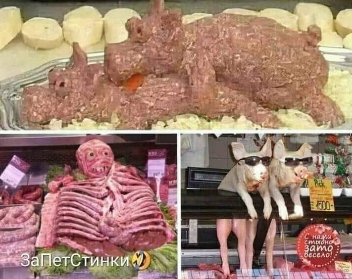 Натиснете снимката за да я уголемите

Име:20240425_145045.jpg
Прегледи:1048
Размер:136.8 КБ
ID:6964042