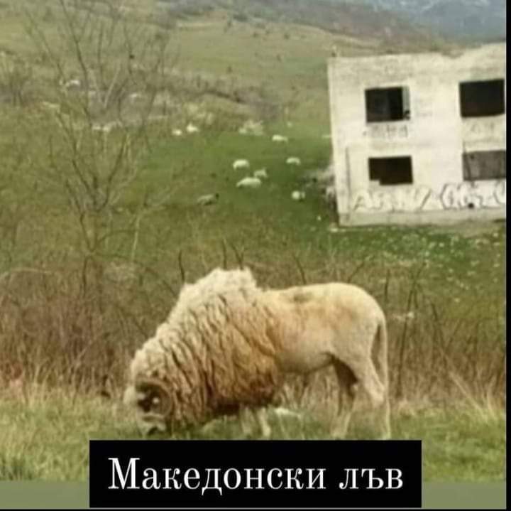 Натиснете снимката за да я уголемите

Име:IMG-65c8301e3280b1098d8da81fb0d62457-V.jpg
Прегледи:923
Размер:42.4 КБ
ID:6964350