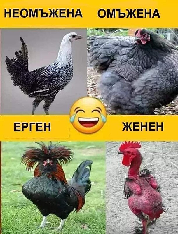 Натиснете снимката за да я уголемите

Име:20240514_163038.jpg
Прегледи:494
Размер:76.5 КБ
ID:6965016
