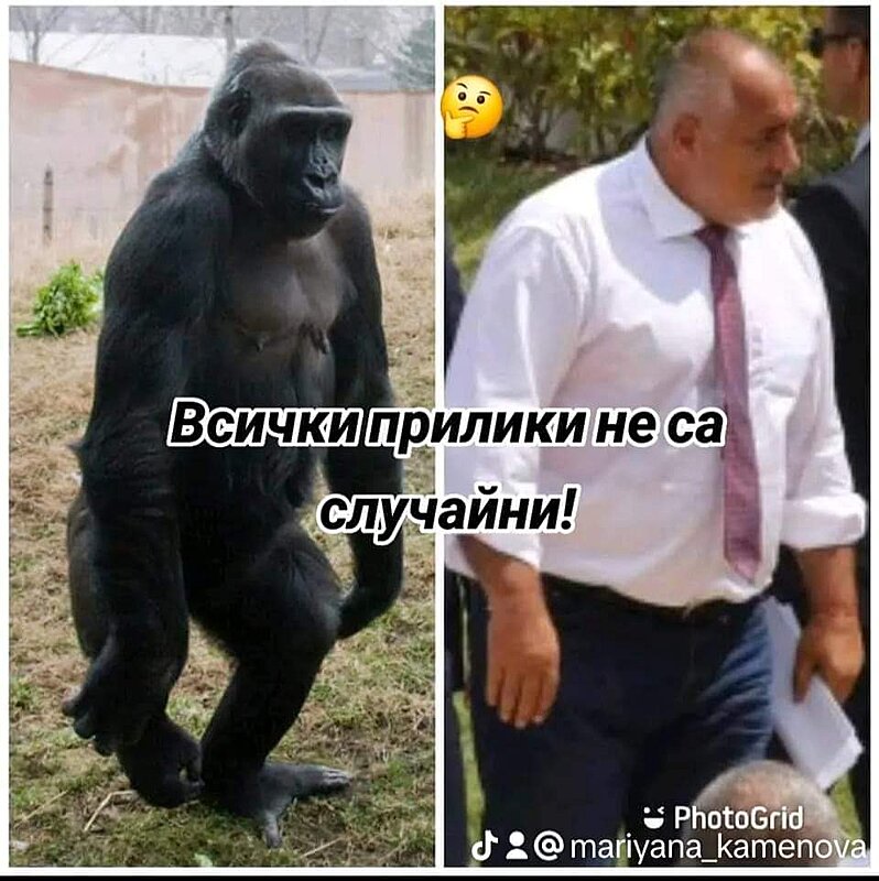 Натиснете снимката за да я уголемите

Име:20240603_122428.jpg
Прегледи:345
Размер:81.9 КБ
ID:6966609