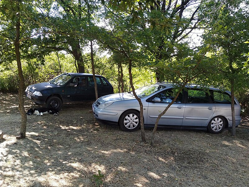 Натиснете снимката за да я уголемите

Име:viber_изображение_2024-06-16_21-07-09-728.jpg
Прегледи:187
Размер:635.8 КБ
ID:6967455