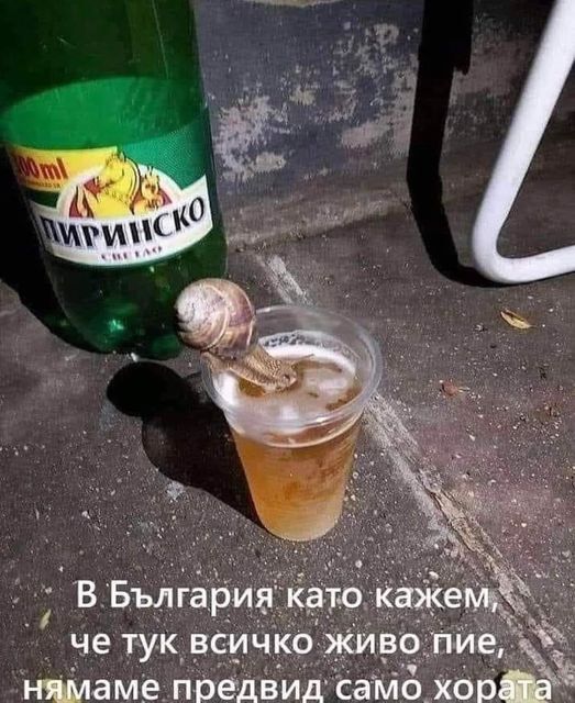 Натиснете снимката за да я уголемите

Име:450051628_10210843042549376_7902111385577358429_n.jpg
Прегледи:467
Размер:76.6 КБ
ID:6968735